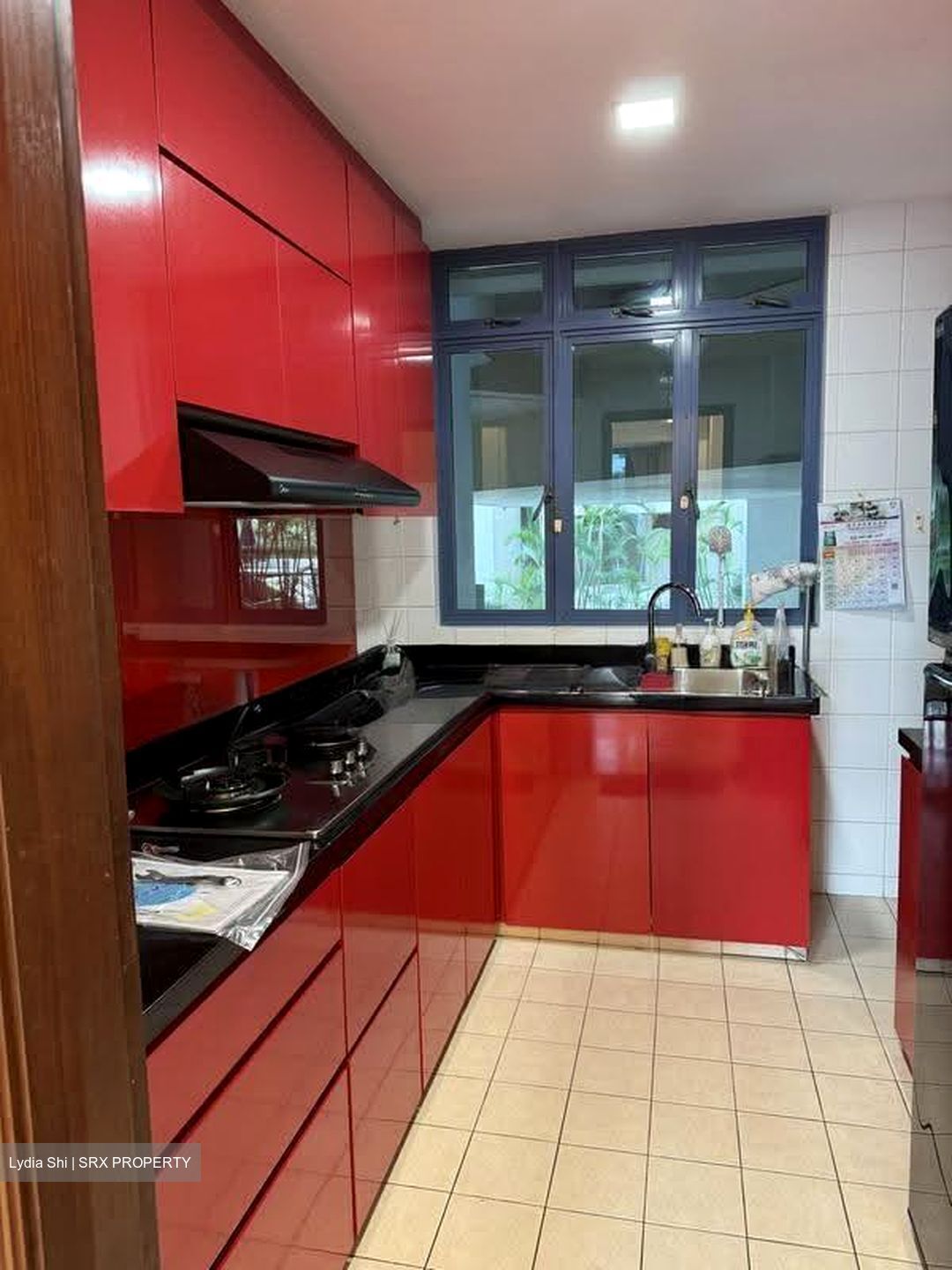 Sanctuary Green (D15), Condominium #610472461